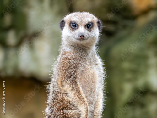 台北市立動物園