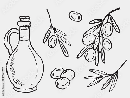 Hand drawn olive oil bottle, olives and branches with leaves and olives. Mediterranean cuisine, natural food, kitchen elements. Vector sketch illustration in vintage crayon charcoal style