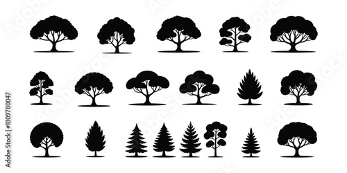 Tree silhouette icon. set of tree silhouette icon. Collection of black and white trees silhouettes on a white background