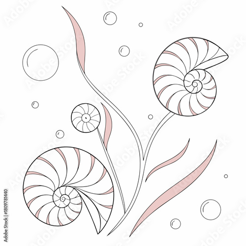 Elegant nautilus shell arrangement isolated on for decoration