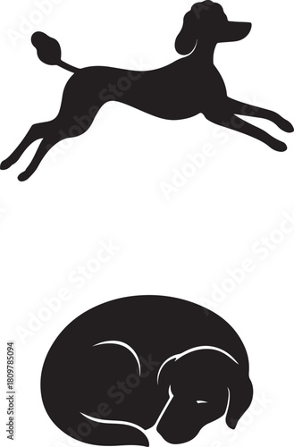 A black silhouette of a jumping poodle and a curled up sleeping dog