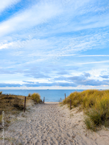 Fototapeta Naklejka Na Ścianę i Meble -  access to a lonely beach at the Baltic Sea near the city of Rostock (Germany)