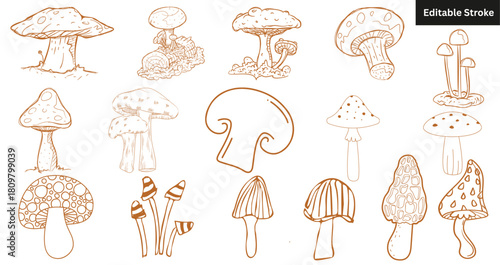 Set of 16 hand-drawn brown mushroom icons. Doodle fungi, toadstool, and autumn nature vector illustration.