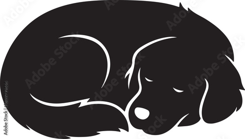 A curled up sleeping dog silhouette peaceful and calm in slumber