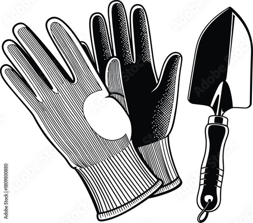 Gardening gloves and trowel, essential tools for planting and cultivation