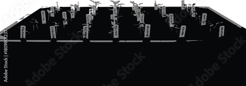 Seedlings with Plant Markers, Germination in a Tray, Cultivation