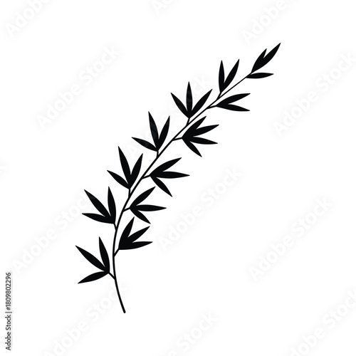 Illustration of a bamboo branch with leaves isolated on, perfect for naturethemed designs