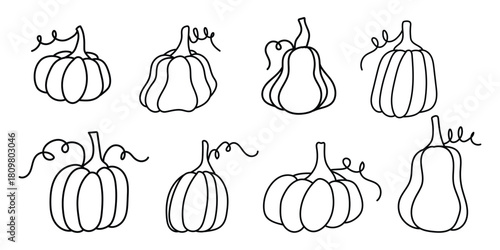 Hand drawn pumpkins in a seamless pattern for autumn and Halloween designs ideas