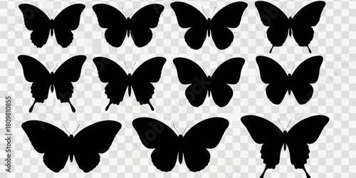 Butterfly silhouettes collection in black on transparent background