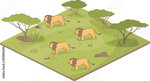 Isometric illustration of African savanna landscape with lions walking among acacia trees and grassland wildlife habitat in natural environment