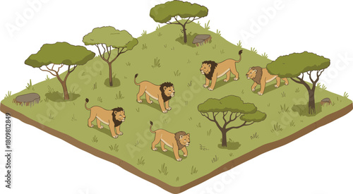 Isometric illustration of African savanna landscape with lions walking among acacia trees and grassland wildlife habitat in natural environment