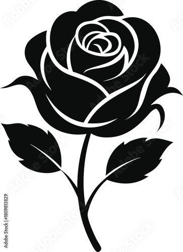 Elegant black rose vector illustration design