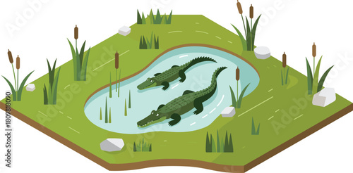 Isometric illustration of crocodiles resting near a pond in green wetland habitat with reeds grass and natural landscape details