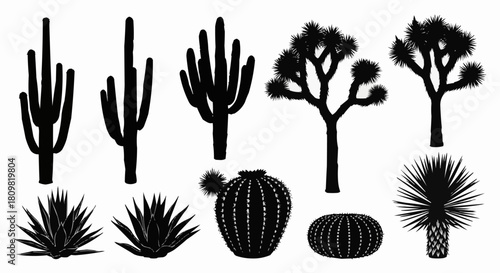 Collection of Desert Plants Silhouettes Cactus and Yucca Trees.