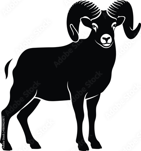 Bold silhouette of a bighorn ram with massive curled horns standing proud. Vector