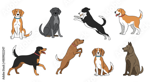 A collection of various dog breeds illustrated in different poses including sitting jumping and standing against a white background.