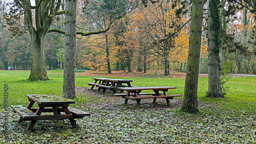 Autumn Picnic Area with Tables in a Park. Serene Outdoor Setting for Relaxation and Gatherings