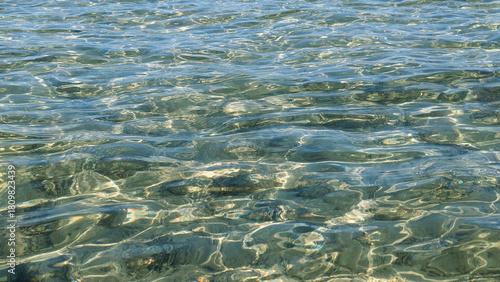 Sun-Kissed Sea Surface Shimmering Reflections on Clear Water, Aquatic Tranquility and Beauty