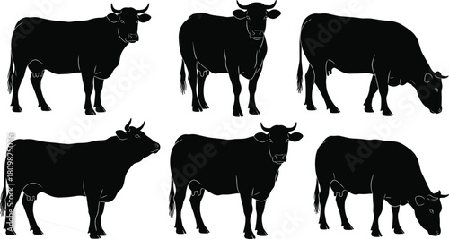 Cow silhouette collection featuring grazing and standing cattle poses, detailed farm animal vector artwork perfect for agriculture, livestock, dairy and rural design themes