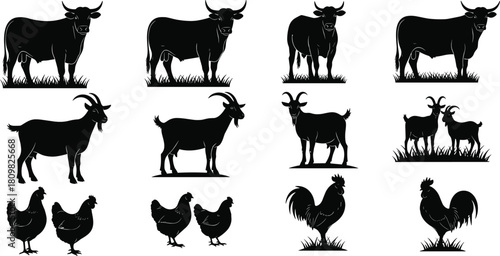 Farm animal silhouette collection, cows goats chickens roosters grazing on grass, livestock vector set for agriculture, farm illustration, rural design