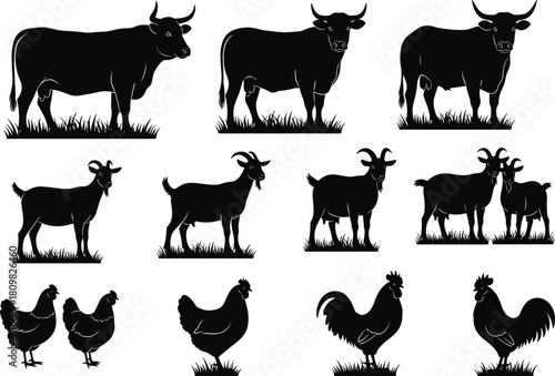 Silhouette collection of farm animals, cows goats chickens roosters on grass, livestock illustration set, agriculture graphic elements for rural design