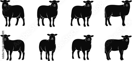 Sheep silhouette illustrations, farm animal graphic design, standing sheep poses, livestock artwork for agriculture branding, rural farming vector collection