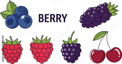 Ssorted Berries, Blueberries, Raspberries