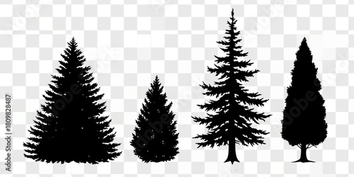 Silhouette of various evergreen trees on transparent background