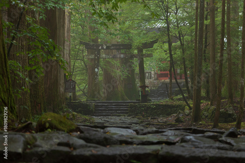 神社の参道
