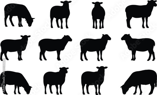 Black sheep silhouettes collection, isolated livestock animal shapes, farm animal graphic set, vector sheep icons for agriculture design use