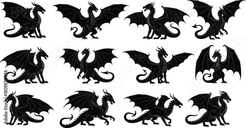 Collection of black dragon illustrations in various poses with detailed wings and scales, fantasy creature artwork for mythology, gaming, and design projects