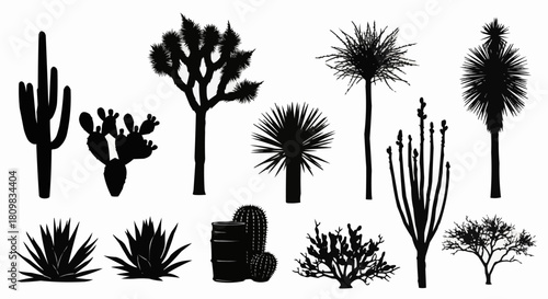 Desert flora silhouette collection showcasing various cactus and yucca plant species.