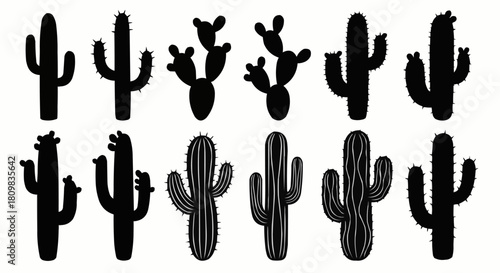 Collection of various cactus silhouettes in black and white.