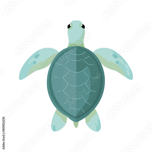 Cute Sea Turtle Cartoon Illustration on White Background