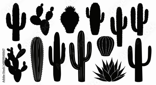 Collection of various cactus silhouettes in black and white for design.