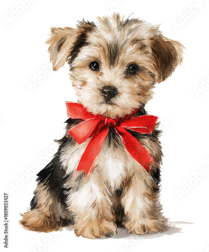 cute looking watercolor yorkshire terrier puppy with red christmas ribbon isolated on white or transparent png
