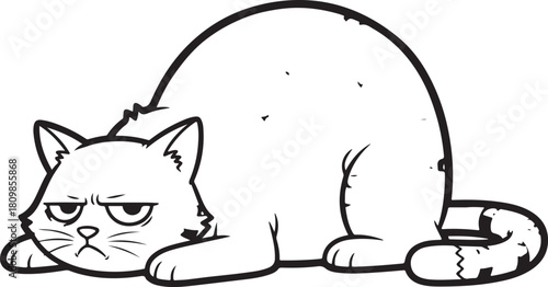 Grumpy cat lying down