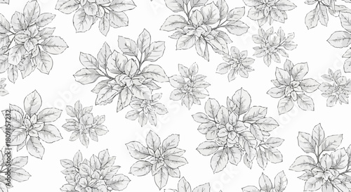 Wallpaper Mural Floral pattern of detailed botanical illustrations on white background. Torontodigital.ca