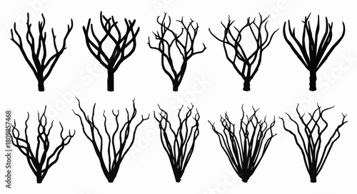 Set of ten black silhouettes of leafless winter bushes.