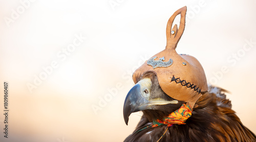 A close-up of an eagle wearing a cap. The bird of prey hunts its prey. The eagle perches on the trainer's hand. Falconry. A national tradition of Asia. Kazakhstan.