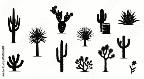 Desert plant silhouettes collection featuring various cactus and desert flora.