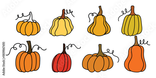 Colorful assortment of hand drawn pumpkins in different shapes for fall designs