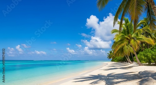 Fototapeta Naklejka Na Ścianę i Meble -  Tropical paradise white sand beach turquoise water and palm trees