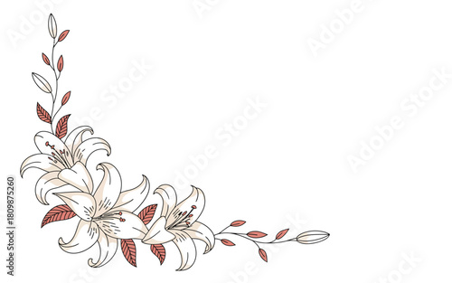 White lily flowers with green stems and pink leaves