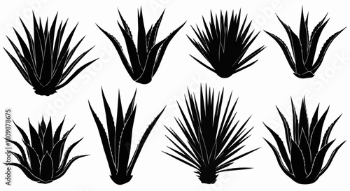 Set of eight black agave succulent plant silhouettes.