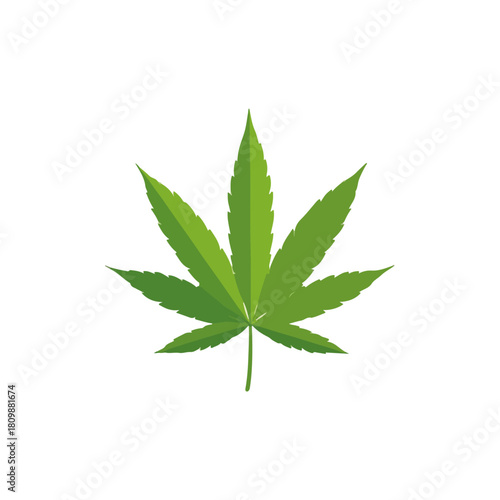 Vibrant Green Cannabis Leaf on White Background