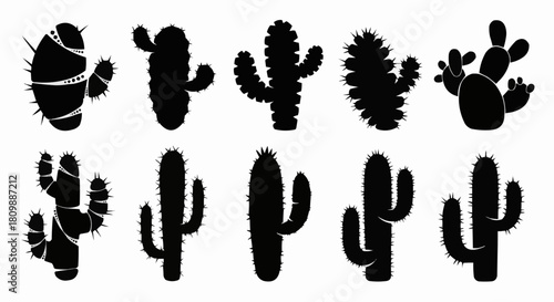 Silhouette Collection of Various Cactus Plants in Desert.