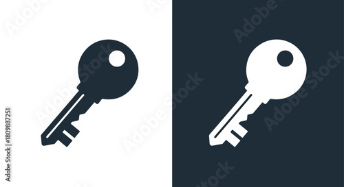 Two keys on contrasting backgrounds - Vector icon symbol for website - Icon vector - Blue icon vector - Line and glyph solid icon and logo template
