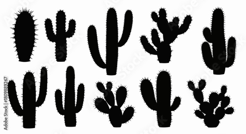 Silhouettes of various cacti plants in black and white, desert flora.