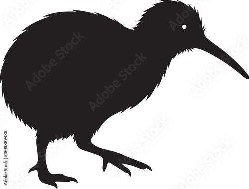 Silhouette of a kiwi bird walking with long beak and fluffy feathers a new zealand native iconic animal